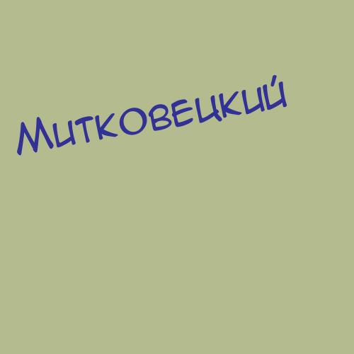 Митковецкий