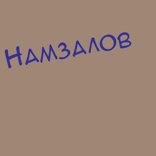 Намзалов