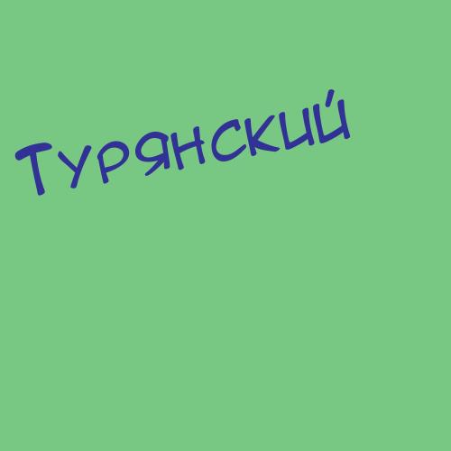 Турянский