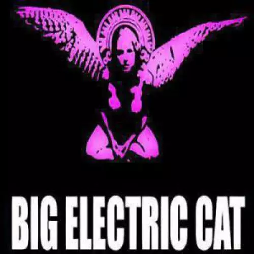 Big Electric Cat