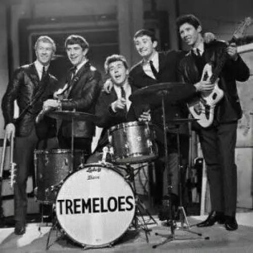 The Tremoloes